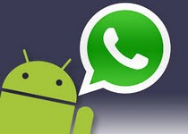 Licorice | Notificaciones para whatsapp
