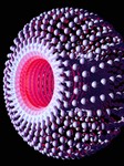 audio_end | Notificaciones cortas