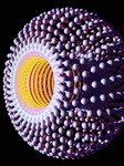 audio_initiate | Notificaciones cortas