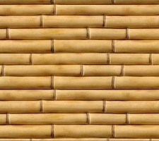 Fondo de pantalla con cañas secas