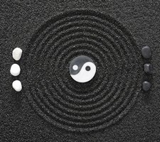 Ying Yang
