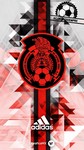 Fotomontaje selección mexicana