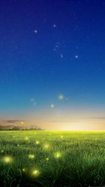 Pradera y luces