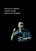 Wallpaper para Smartphones Indio Solari