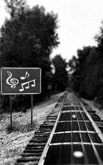 La ruta de la musica | Fondo para celular